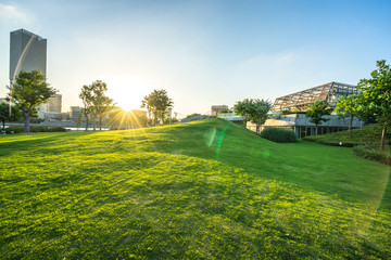 green lawn with city skyline