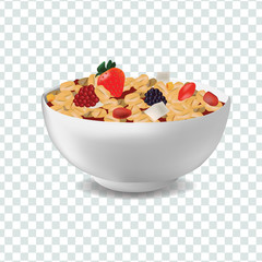 Vector realism style illustration muesli in bowl with fruits and berries