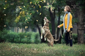 Girl walking with a dog