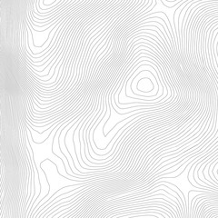 Topographic abstract contour map  background. Elevation map. Hollow curved outline. Topological map vector.Geography and topography vector illustration plan.