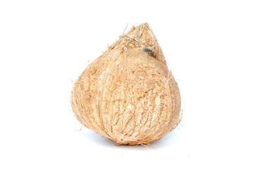 Coconut White Background.