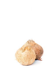 Coconut White Background.