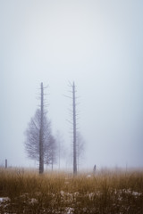 winterliche Nebellandschaft Wanderung