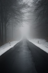 Obraz premium Landstraße durch Wald im Winter