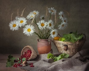 Still life with beautiful bouquet of daisy flowers