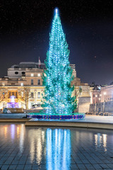 Der festlich beleuchtete Weihnachtsbaum am Trafalgar Square in London am Abend zur Weihnachtszeit