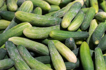 Cucumber background, Vegetable in the market.