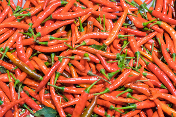 Red chili or peppers for sale in the Vegetable market.