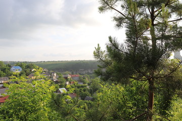Nature