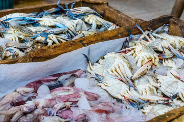 Blue crabs and squids on a fish market in a Hurghada city, Egypt