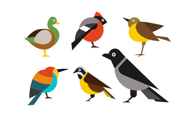 Birds set, duck, bullfinch, sparrow, tit, crow, titmouse vector Illustration