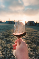 Point-of-View-Shot of a hand holding a glass of red wine into the sun