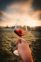 Point-of-View-Shot of a hand holding a glass of red wine into the sun