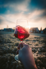 Point-of-View-Shot of a hand holding a glass of red wine into the sun