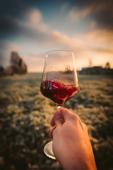 Point-of-View-Shot of a hand holding a glass of red wine into the sun