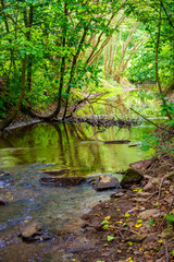 Fototapeta na wymiar Photo of mountain river flowing through the green forest