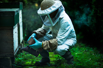 beekeeper working with beehive