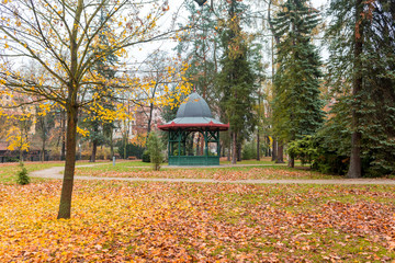 colorful autumn landscape in public garden