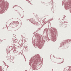 Naklejki  Wzór z ręcznie rysowane kwiaty śliwki i owoce