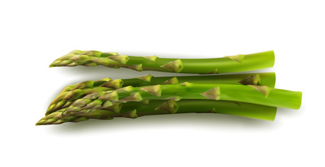 Bunch of Raw Garden Asparagus Isolated on White Background