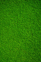 Obraz na płótnie Canvas Artificial grass background