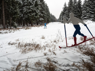 Langlauf auf der Langlaufloipe im Winterwald bei Oberhof