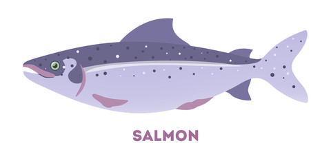 Salmon fish from the sea or ocean