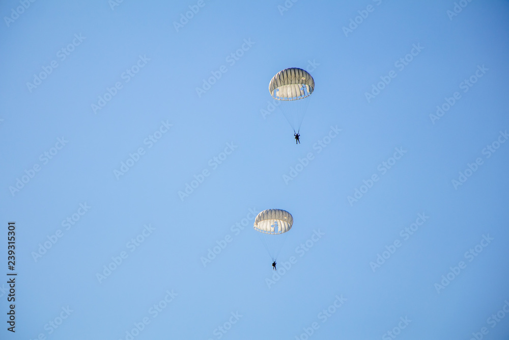 Wall mural jump of paratrooper with white parachute, military parachute jumper in the sky.