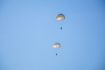 Jump of paratrooper with white parachute, Military parachute jumper in the sky.