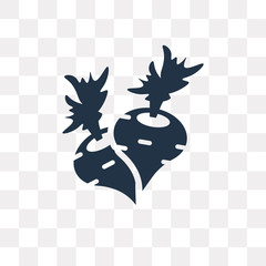 Radish vector icon isolated on transparent background, Radish  transparency concept can be used web and mobile