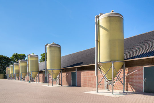 Feed silos in a row at cattle shed