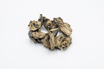 Black fungus in white background