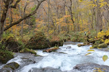 奥入瀬渓流