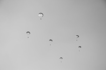 Black and white picture jump of paratrooper with white parachute, Military parachute jumper in the sky.