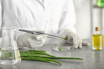 Woman making organic cosmetics with aloe in laboratory - obrazy, fototapety, plakaty