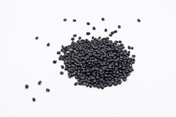 Black bean on white background