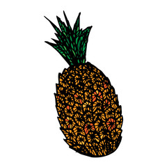 Pineapple icon. Vector illustration of pineapple. Hand drawn pineapple.