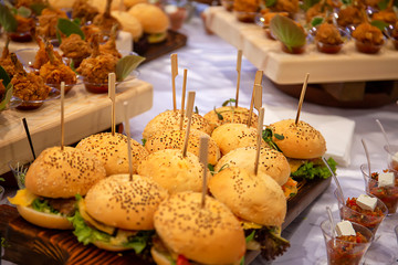 Cocktail Reception at the event, burgers, chicken legs, salads, snacks on wooden boards, with sprouted greens
