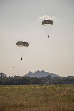  Black and white picture jump of paratrooper with white parachute, Military parachute jumper in the sky.