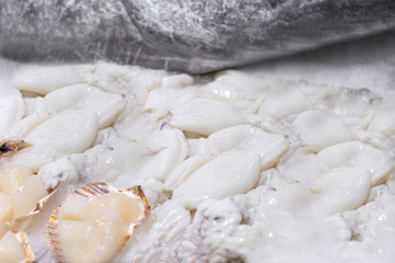 Counter with fresh seafood in ice