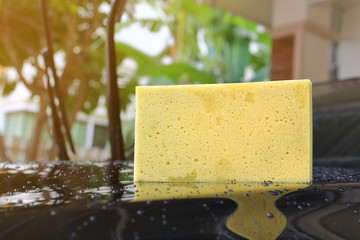 yellow sponge used car wash