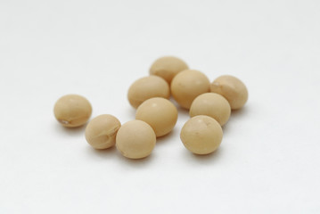 Close-up of soybeans