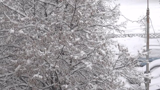 Winter video, morning snowfall in cloudy weather in the city, with the effect of zooming and moving the camera