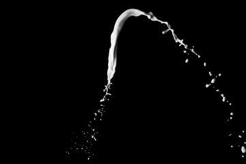 Splash of milk on black background