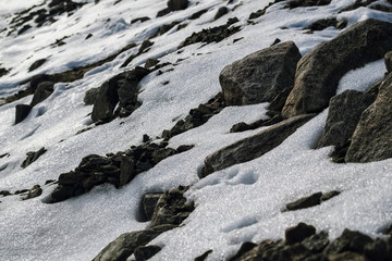 Snow-covered stones 