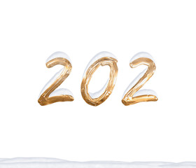 Gold Number 202 with Snow on white background