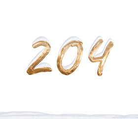 Gold Number 204 with Snow on white background
