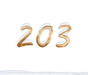 Gold Number 203 with Snow on white background