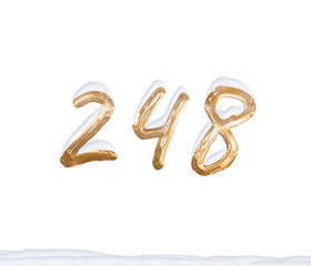 Gold Number 248 with Snow on white background