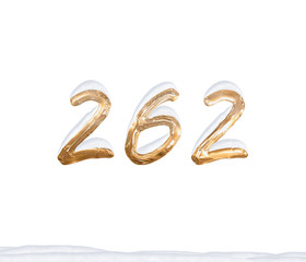 Gold Number 262 with Snow on white background